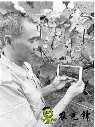 無錫市先行先試加快發展智慧農業,已建設農業物聯網應用點近400個