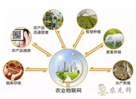 為農業插上翅膀，物聯網引領下一個農業時代！