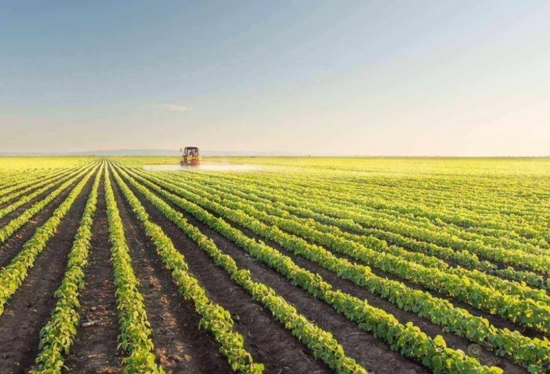 解決農(nóng)產(chǎn)品渠道之困,才是智慧農(nóng)業(yè)落地法則