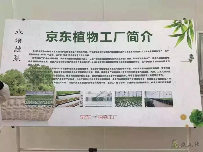 京東的這些“網(wǎng)紅”農(nóng)業(yè)項目，你都知道嗎？
