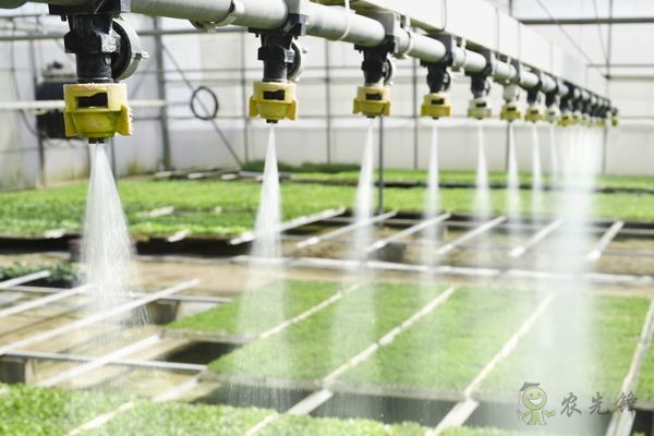 智慧農業的發展,農民能否被淘汰