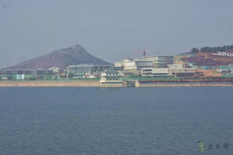 鄧興旺:我為何回國辦現代農學?