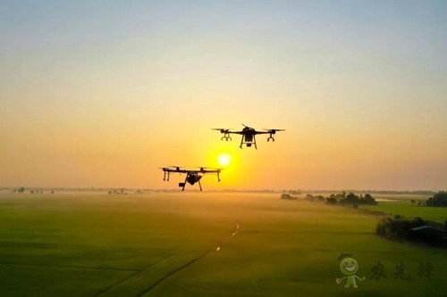 林重意：越南農(nóng)業(yè)植保飛防服務(wù)