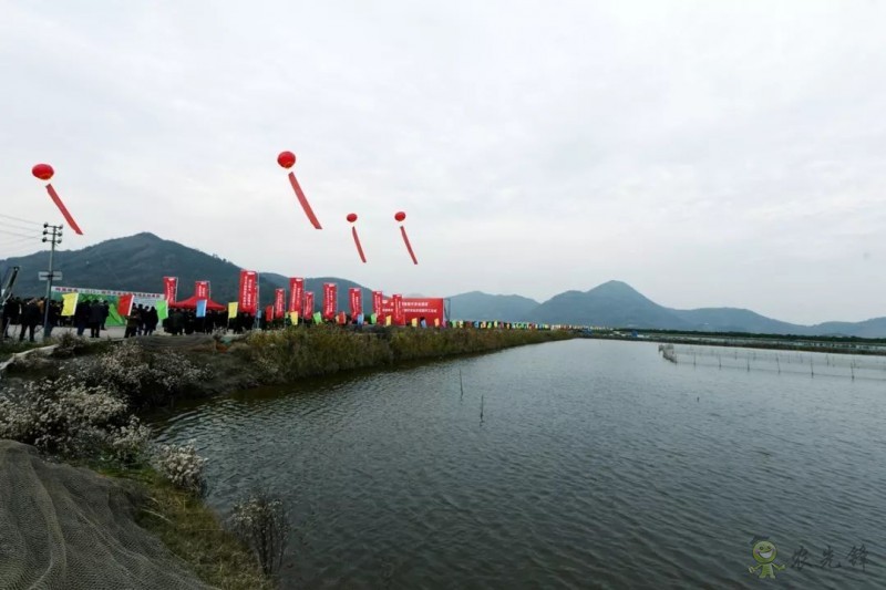 網易味央(三門)現代農業示范園正式開工!