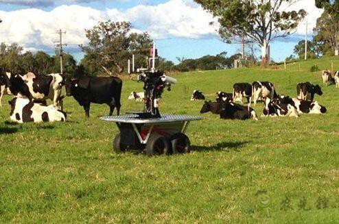 現場機器人,“上的了天 下的了地”