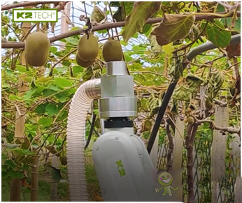 果蔬采收機(jī)器人,農(nóng)業(yè)自動(dòng)化發(fā)展新突破