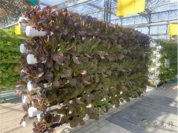 河北省將示范推廣100個農(nóng)業(yè)物聯(lián)網(wǎng)應(yīng)用試點(diǎn)