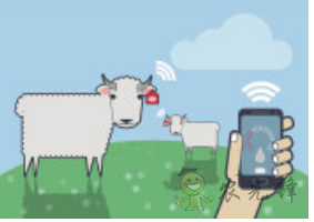 物聯(lián)網(wǎng)應用在農(nóng)業(yè)領域中的價值探討