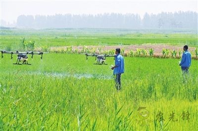 溫州農(nóng)戶春耕“新寵”——農(nóng)業(yè)無(wú)人機(jī)