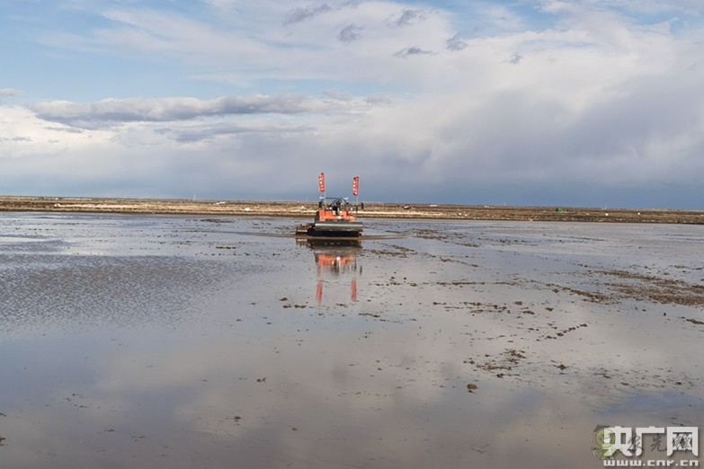 全國(guó)政協(xié)委員楊國(guó)強(qiáng):發(fā)展現(xiàn)代農(nóng)業(yè) 打造規(guī)模化無(wú)人農(nóng)場(chǎng)