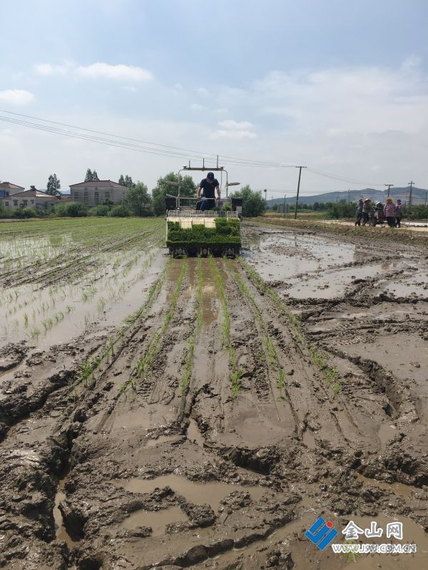 “智慧農(nóng)機”助力夏收夏種的交響曲