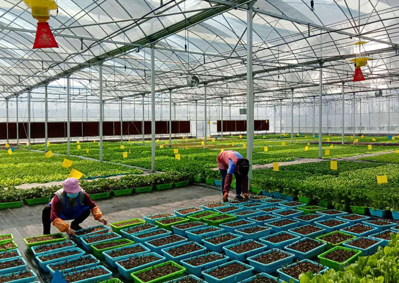 陜西加快構建現(xiàn)代農(nóng)業(yè)“三大體系”