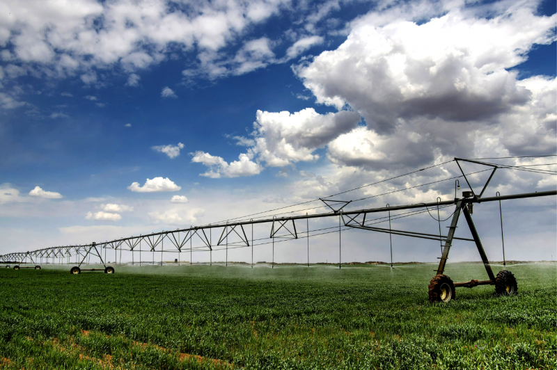 陜西加快構建現(xiàn)代農(nóng)業(yè)“三大體系”