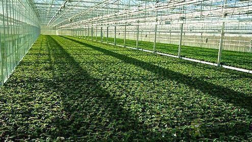 什么是以物聯(lián)網(wǎng)為架構(gòu)的智慧農(nóng)業(yè)系統(tǒng)?