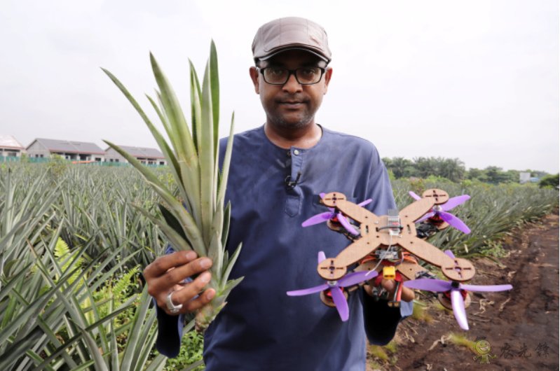 菠蘿葉中的纖維也可以成為無(wú)人機(jī)材料？