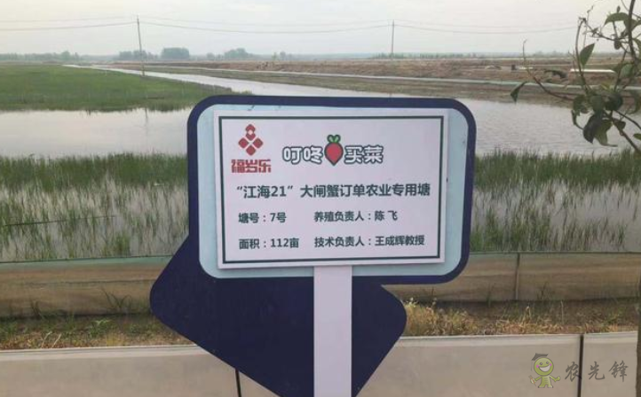 “互聯網+農業”重構產銷 叮咚買菜訂單農業養殖新模式