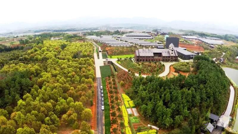 金華畜牧企業紛紛轉向&ldquo;四無&rdquo;養殖模式