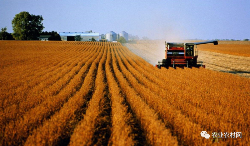 農業農村部數字農業試點都需要符合哪些條件才能申報?