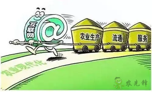 朱啟臻:互聯(lián)網(wǎng)給農(nóng)業(yè)全產(chǎn)業(yè)鏈插上翅膀