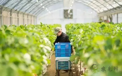 【重磅研究】中國(guó)數(shù)字農(nóng)業(yè)的發(fā)展概況