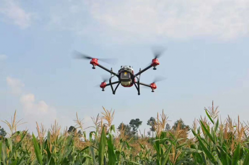 夏季暴雨對(duì)農(nóng)業(yè)生產(chǎn)的影響及減災(zāi)措施