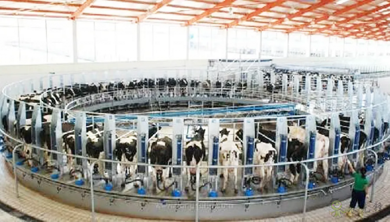 我國智慧畜牧業(yè)發(fā)展現(xiàn)狀與趨勢