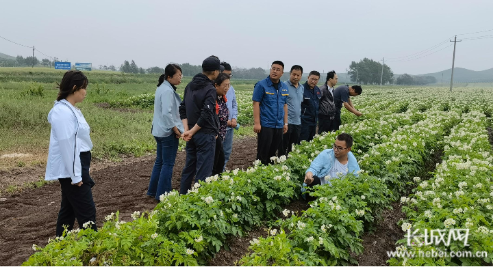 河北:打造壩上地區農業高效節水新模式