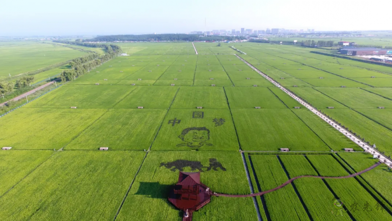 氣候智慧型農業,讓農業韌勁更強