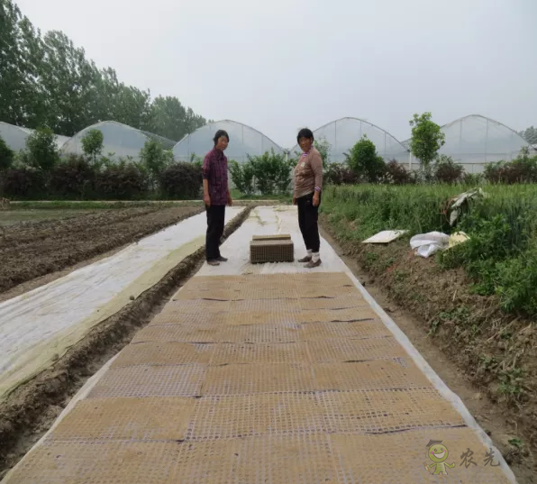 2021年農(nóng)業(yè)農(nóng)村部重大引領(lǐng)性技術(shù)發(fā)布！