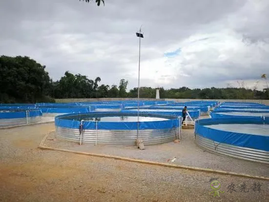 2021年農(nóng)業(yè)農(nóng)村部重大引領(lǐng)性技術(shù)發(fā)布！