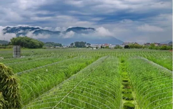 【政策】中央財(cái)政支持17個(gè)省份試點(diǎn)綠色種養(yǎng)循環(huán)農(nóng)業(yè)(附通知)