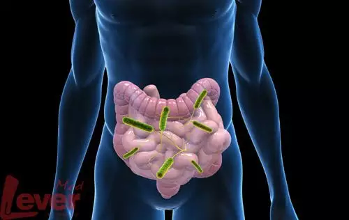 “抗生素肉”擺滿中國人餐桌,豬肉含量居然是牛肉的5倍!