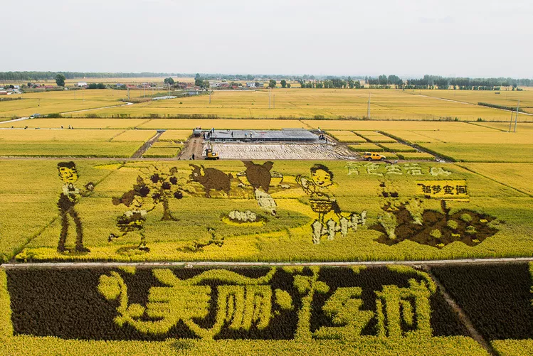 習近平：堅持農業農村優先發展，加快農業農村現代化