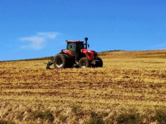 數字化時代,信息化育種的實施步驟和要點