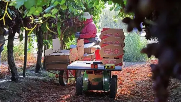 明星農業機器人公司Burro完成1090萬美元融資,拆包即可安裝使用