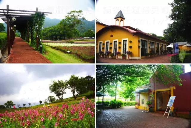 做農業,這幾種高效生態農業模式你必須知道