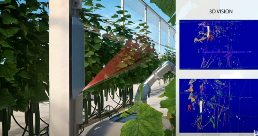 Crux Agribotics關(guān)于未來黃瓜采摘機器人示意圖