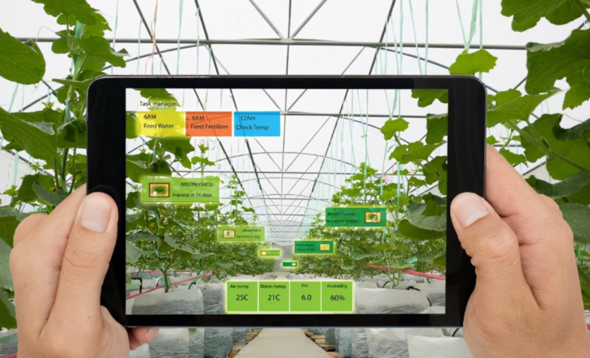 農業物聯網是什么？對農業的好處到底在哪里？