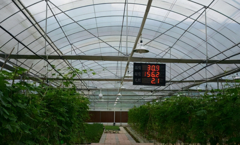 農業物聯網是什么？對農業的好處到底在哪里？