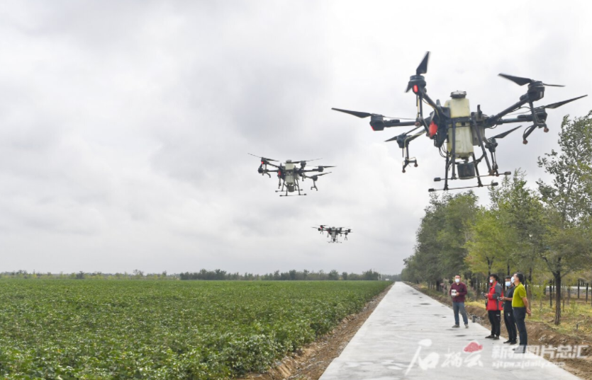 &ldquo;汗水農(nóng)業(yè)&rdquo;向&ldquo;智慧農(nóng)業(yè)&rdquo;轉(zhuǎn)變