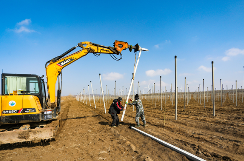 臨港區(qū):智慧農(nóng)業(yè)不簡單,“玩手機(jī)”就能種好地