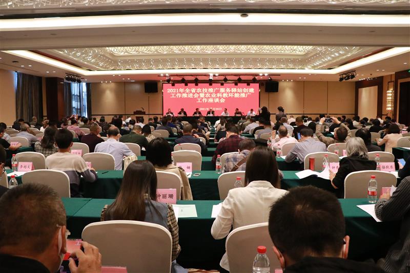 廣東省農(nóng)技推廣服務(wù)驛站創(chuàng)建工作推進(jìn)會在江門舉行 大力實(shí)施鄉(xiāng)村振興科技支撐行動 為農(nóng)業(yè)高質(zhì)量發(fā)展賦能