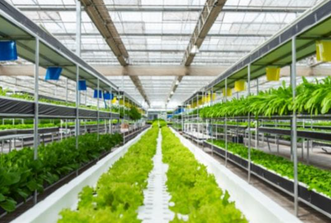 政策：國(guó)家支持設(shè)施農(nóng)業(yè)合法用地；雨潤(rùn)控股：負(fù)債超過(guò)1000億元