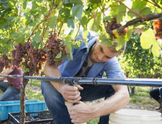 政策：國(guó)家支持設(shè)施農(nóng)業(yè)合法用地；雨潤(rùn)控股：負(fù)債超過(guò)1000億元