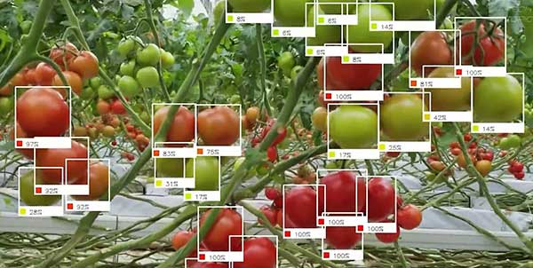 智慧農業的未來——5款人工智能農業機器人