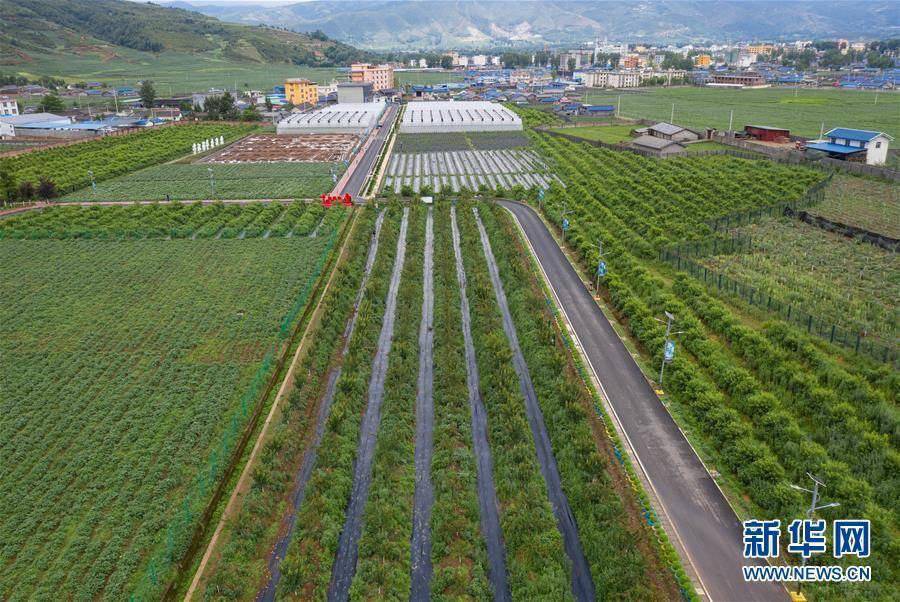 農業農村部:2025年農業科技進步貢獻率達到64%