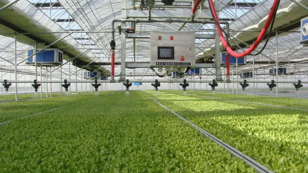 農(nóng)業(yè)農(nóng)村部：主攻智慧農(nóng)業(yè)，從七個(gè)方面全面突破