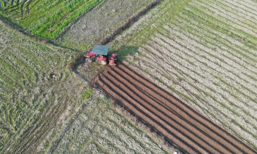 2022耕地地力保護(hù)補(bǔ)貼各地新標(biāo)準(zhǔn)，一畝補(bǔ)多少錢？速看
