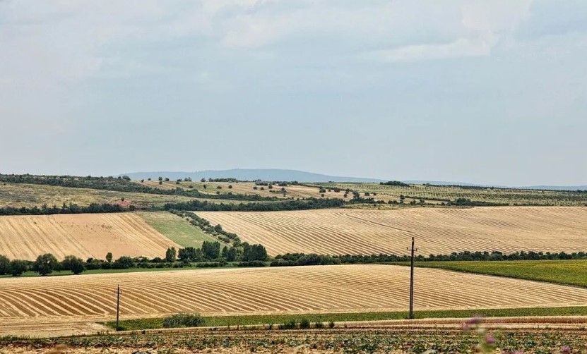 2022耕地地力保護(hù)補(bǔ)貼各地新標(biāo)準(zhǔn)，一畝補(bǔ)多少錢？速看