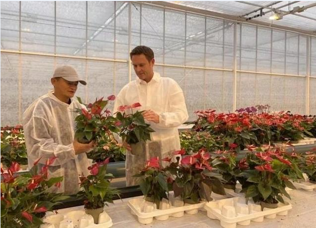 劉強(qiáng)東卸任投身鄉(xiāng)村振興，為何資本大佬都愛農(nóng)業(yè)？